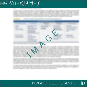 グローバルリサーチ調査レポートのイメージ